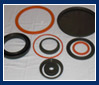 Home Seals and Gasket